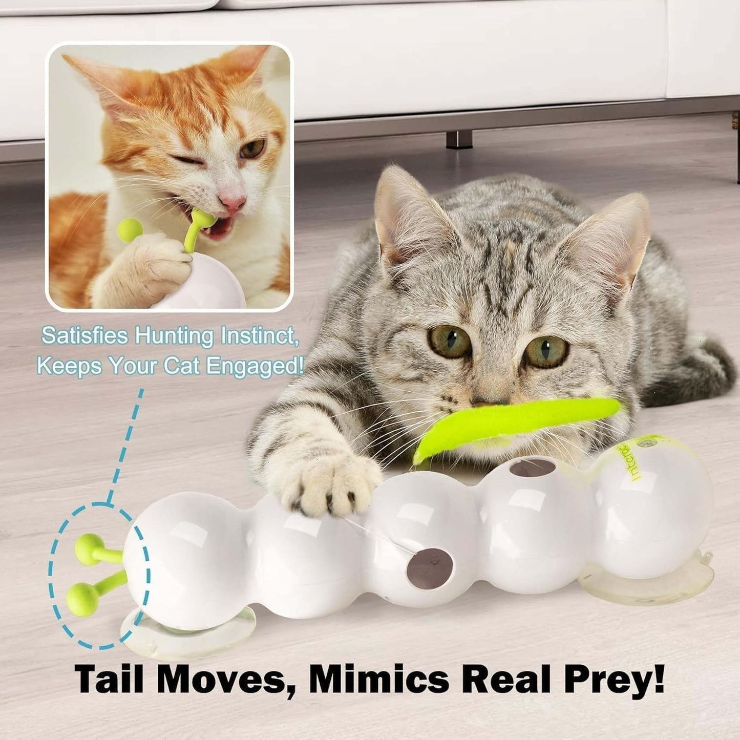 🐾Whirlie - Smart Motion Cat Toy
