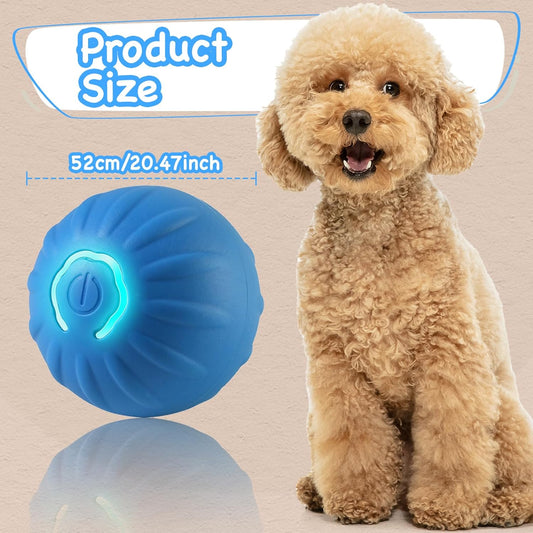 PawMotion Smart Ball