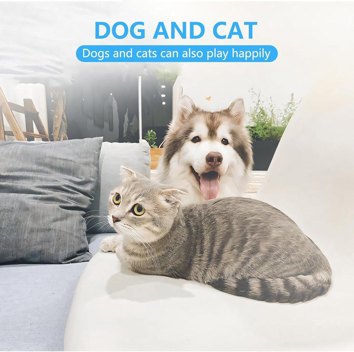 PetTrim Pro - Safe, Precise Grooming for Your Furry Friend