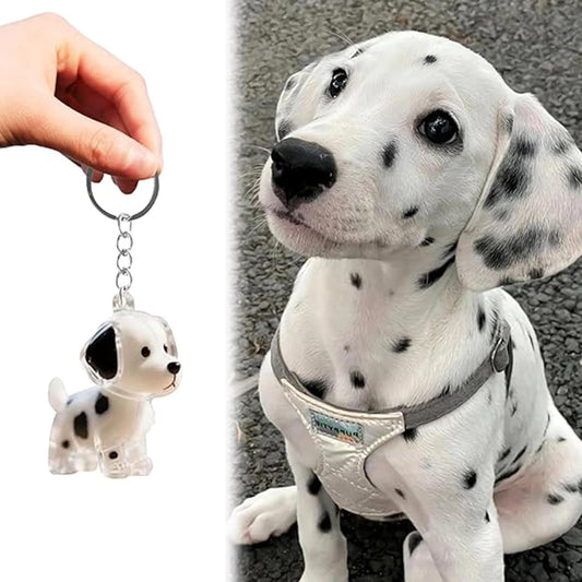 FurEverKeeps - A Keepsake of Your Dog’s Love