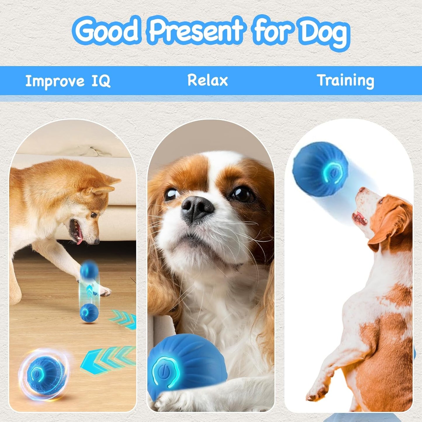 PawMotion Smart Ball