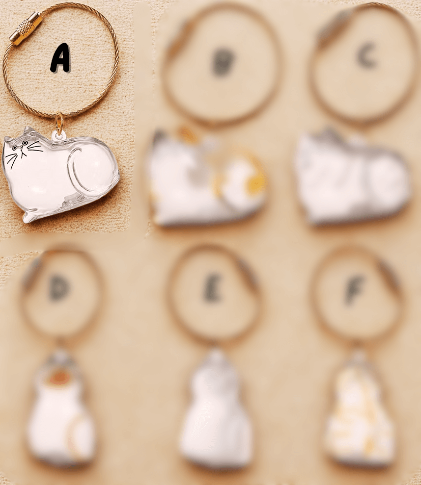 PurrKeeps (Set of 3) - Pet Fur Memory Keychain with Keepsake Charm
