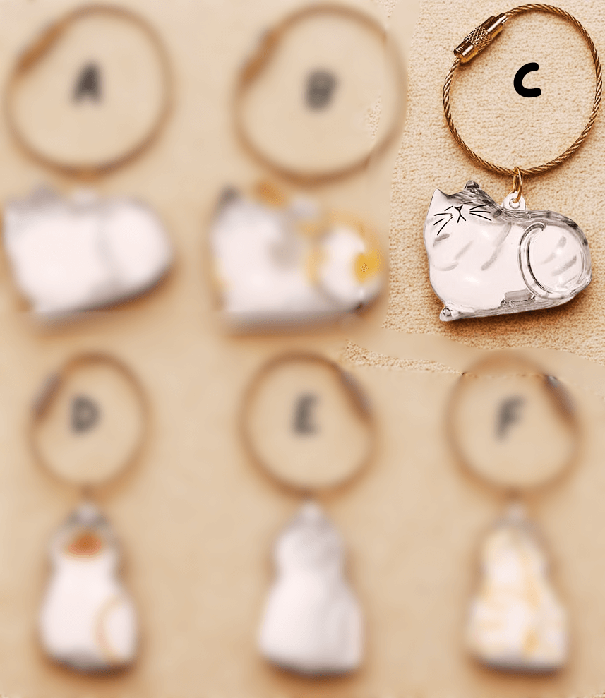 PurrKeeps (Set of 3) - Pet Fur Memory Keychain with Keepsake Charm