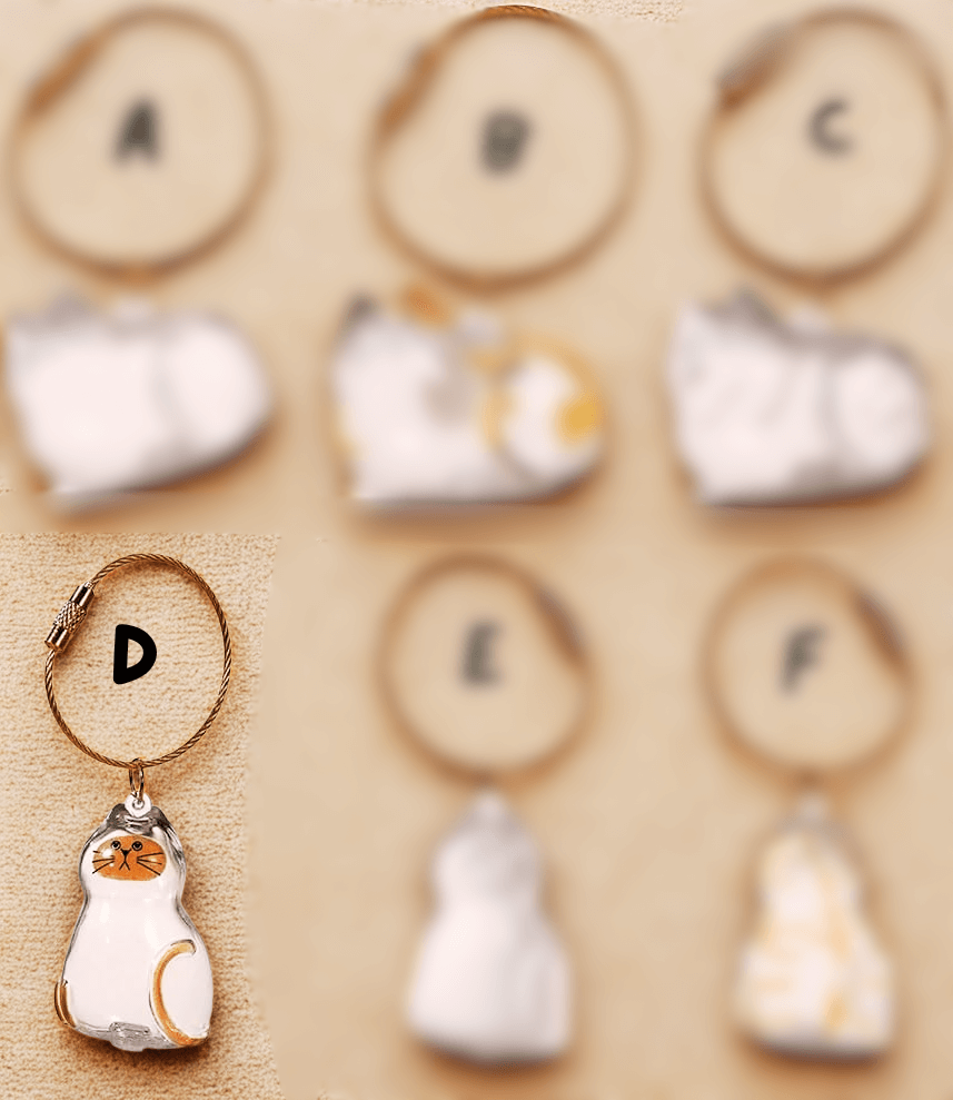 PurrKeeps (Set of 3) - Pet Fur Memory Keychain with Keepsake Charm