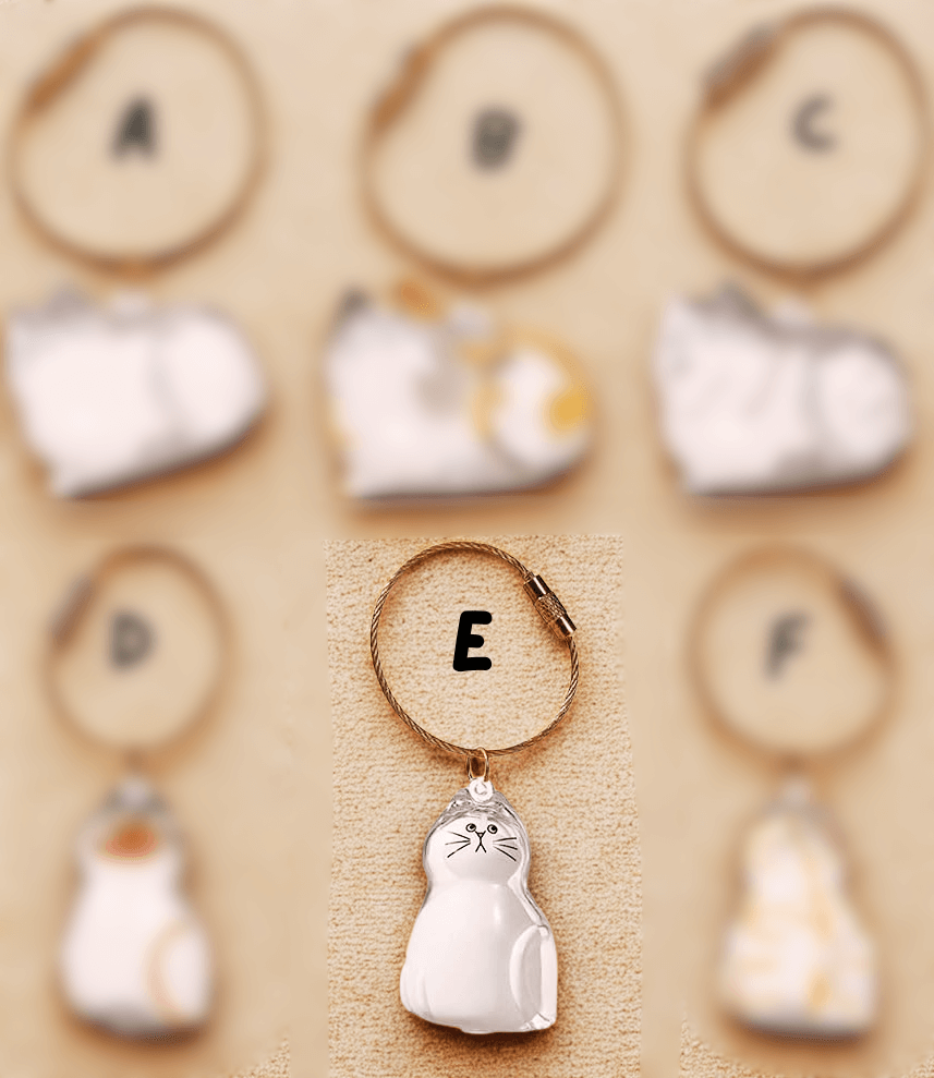 PurrKeeps (Set of 3) - Pet Fur Memory Keychain with Keepsake Charm