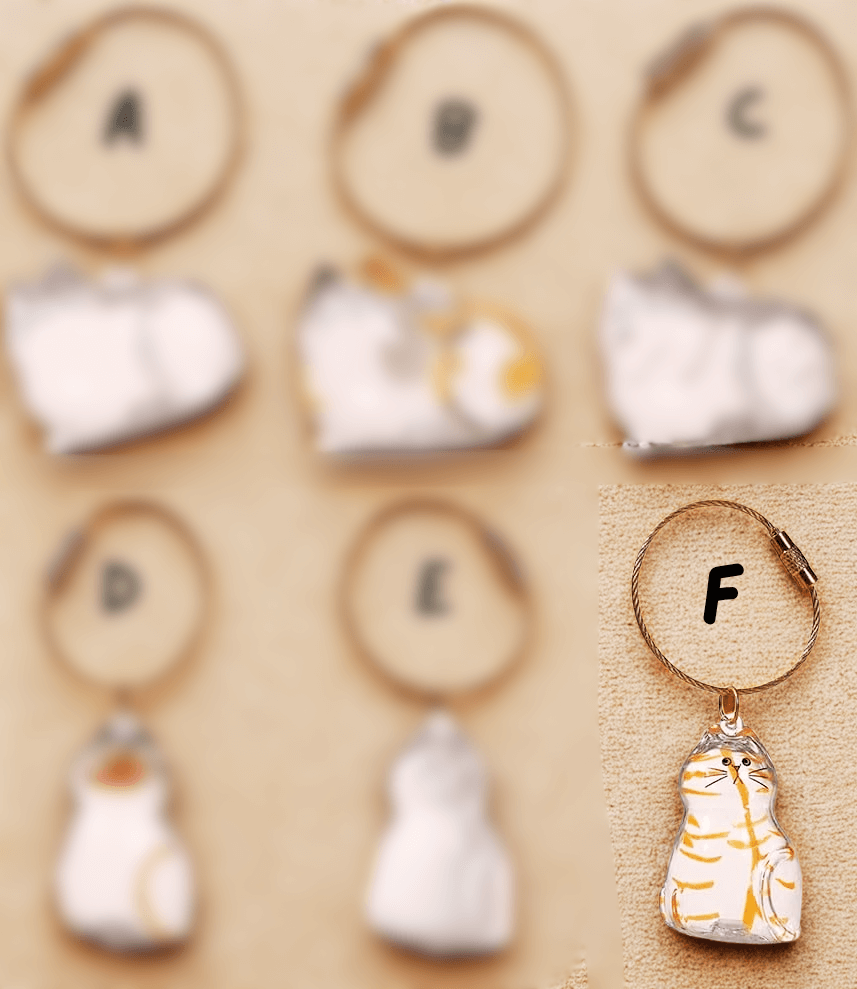 PurrKeeps (Set of 3) - Pet Fur Memory Keychain with Keepsake Charm