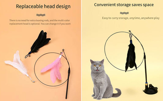 FeatherChase Hide-and-Seek