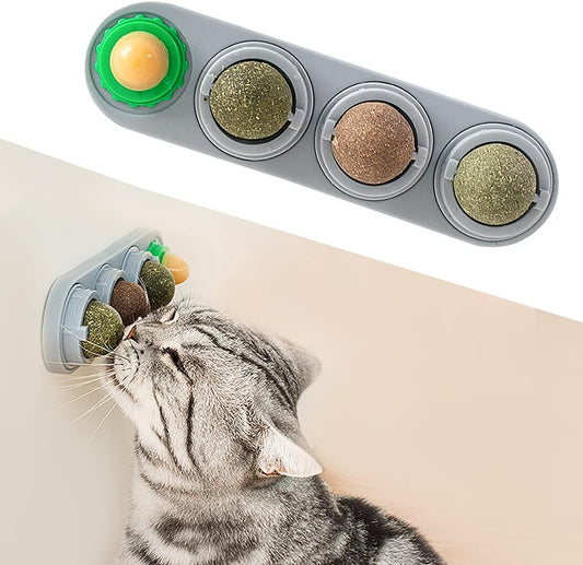 🐾SilverPlay - Treats, Chew & Feline Fun in a Ball