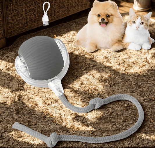 PawPlay Smart Ball