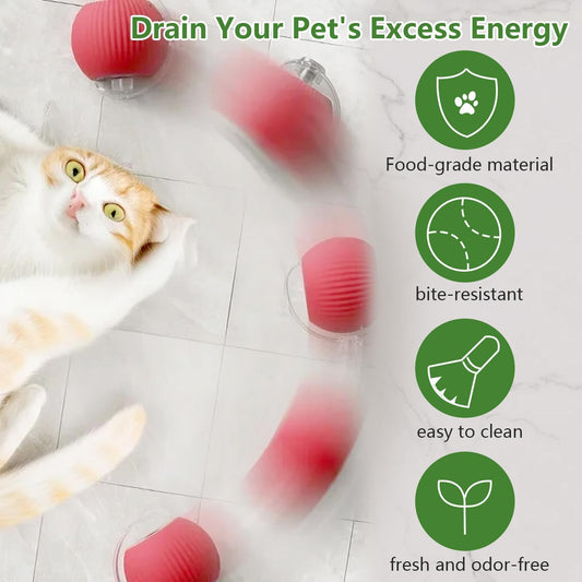 PawPlay Smart Ball