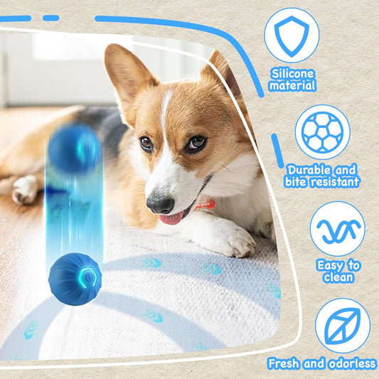 PawMotion Smart Ball