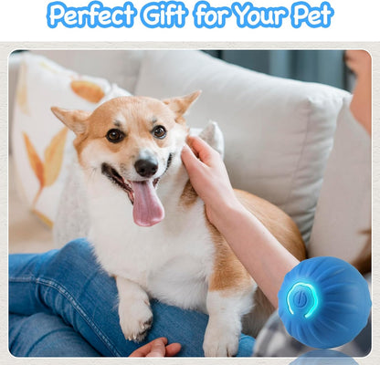 PawMotion Smart Ball