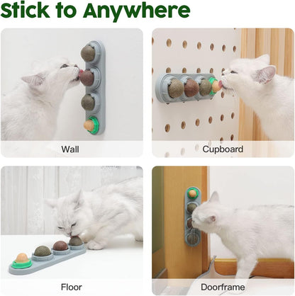🐾SilverPlay - Treats, Chew & Feline Fun in a Ball