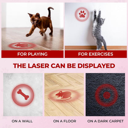 ProjectPlay – Interactive Wall Image Projector for Pets