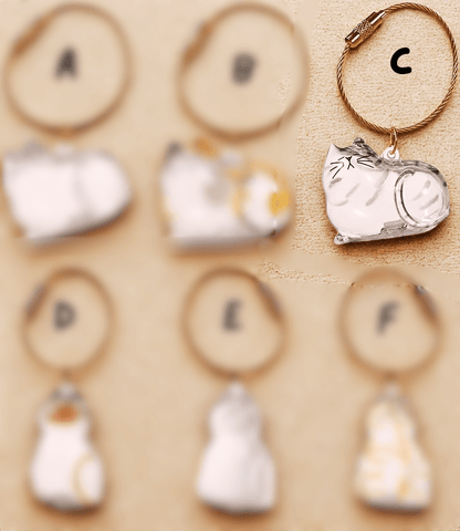 PurrKeeps (Set of 3) - Pet Fur Memory Keychain with Keepsake Charm